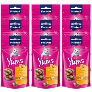 캣얌 치즈 40g 1BOX 9개