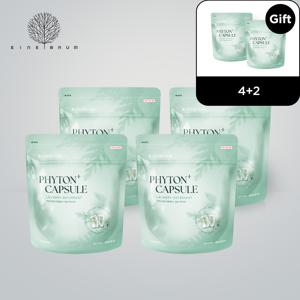 [4+2구성] 피톤플러스 미니 캡슐세제 세탁 아기 유아 올인원 (8g*40ea)