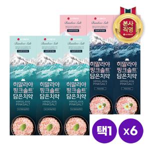 히말라야 핑크솔트 튜브형 치약 100g x 6개 [아이스/플로럴]택1