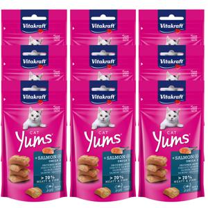 [개당720원][유통기한26년3월31일]비타크래프트 캣얌 연어 40g