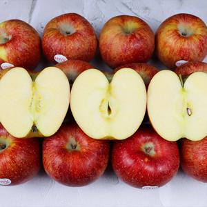 국내산 엔비사과 노블레스 2.2kg 9과 내외