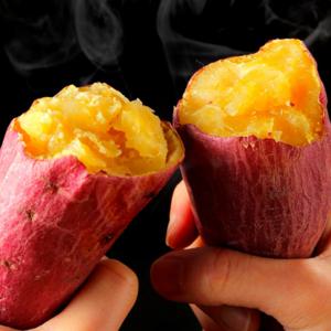 [꿀밤고구마] 베니하루카 해남 꿀밤고구마 5KG