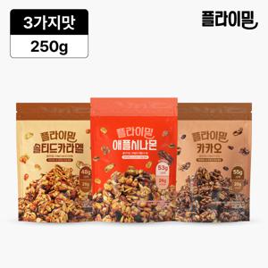 그래놀라 대용량 250g 3종 택1 (솔트카라멜/애플시나몬/카카오)