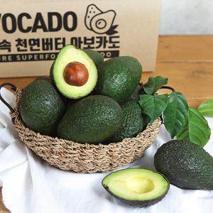 하루한알 아보카도 10과 20과