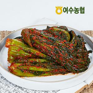 2kg 실속구성 GOD김치 1만원대 무배 방송상품 여수 갓김치