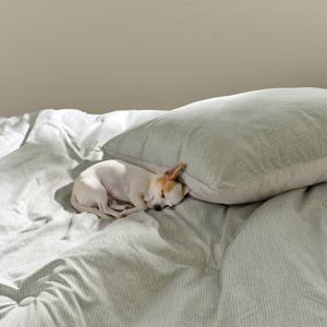 맨션 알러지케어 다운필 차렵이불 세트/패드세트