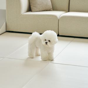 [강아지매트/펫매트/8칸] 미끄럼방지 폴딩형 8칸