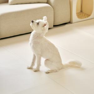 [강아지매트/펫매트/1칸] 미끄럼방지 폴딩형 1칸