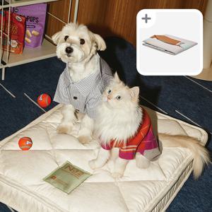 N32. 펫 매트리스. 쪼꼬미 M