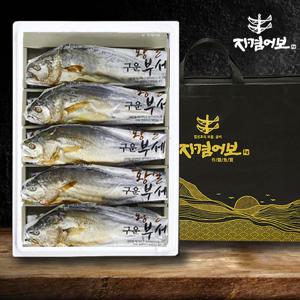 [자겸어보]영광 구운보리굴비세트 10미 30-32cm