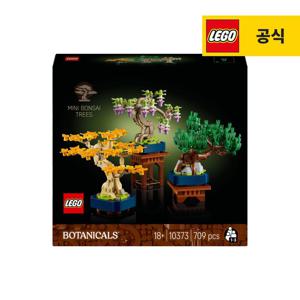 보태니컬 10373 미니 분재나무