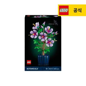 보태니컬 10372 히비스커스