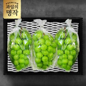 [과일의 명작] 샤인머스켓 선물세트 2kg내외 (2-4수)