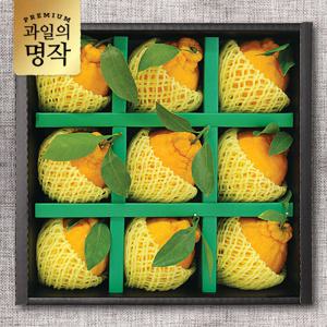 [과일의 명작] 행복 한라봉 선물세트 9과 2.5kg내외