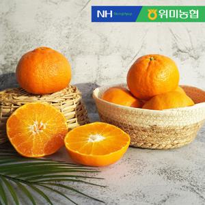 [제주위미농협] 레드향 선물세트 3kg (6-15입)