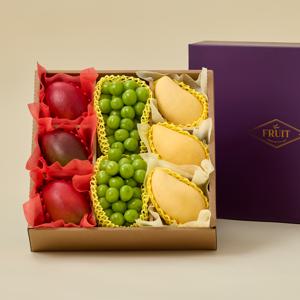 프리미엄 과일 혼합세트(망고3,애플망고3,샤인머스켓2)