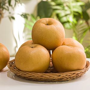 [더조은] 꿀맛좋은 국내산 배 선물세트 7.5kg 8-12과