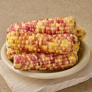 쫀득한 홍찰 옥수수 특대 골라담기