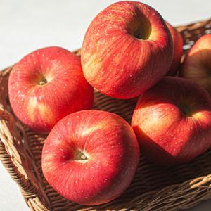 국내산 가정용 빨간 사과 1kg 3kg 5kg 10kg
