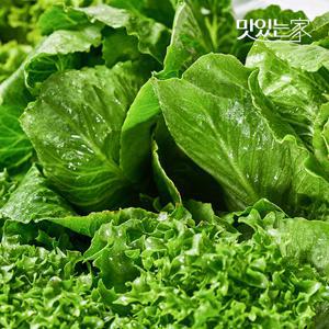 [동김제농협]  유러피안샐러드 3-4종 1kg 대용량 야채믹스 채소믹스