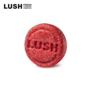 뉴 55g - 샴푸 바/고체 샴푸