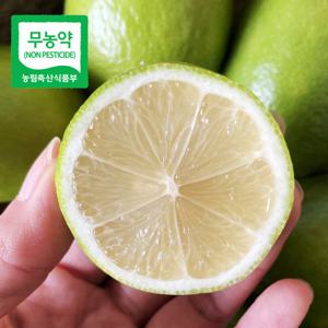 제주레몬 생레몬 국산 제주도 레몬 /무농약인증 3kg 5kg