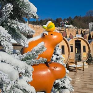 IG락페I 캐리비안베이 종일권+에버랜드 오후권 특가