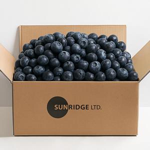 (신선집중) 직수입 생블루베리 칠레산 125g 6팩 (5+1팩 더 증정) 단 800개 한정특가