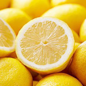 전남 장성 특산물 향부터 다른 장성 레몬  2kg