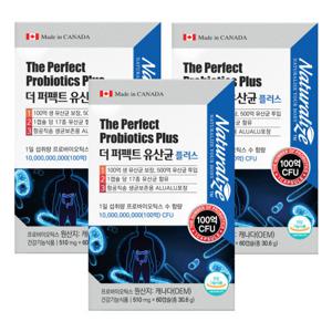 퍼펙트 프로바이오틱스 유산균 60캡슐 3개 6개월분