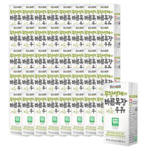 파스퇴르 무항생제 바른목장우유 190mL48팩