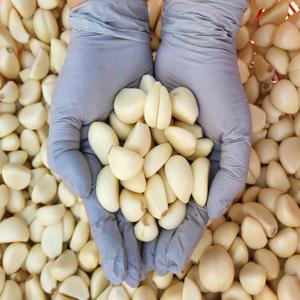 25년 무안 황토골 국산 깐마늘 1kg(대)