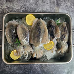 국내산 별미 급냉 갑오징어 오징어 1kg (4-6미 내외)