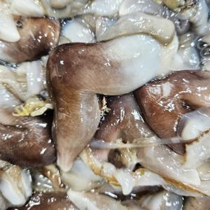 여수 손질 새조개 남해 새조개샤브샤브 제철해산물  (여수) 손질 후 400g (32미내외)