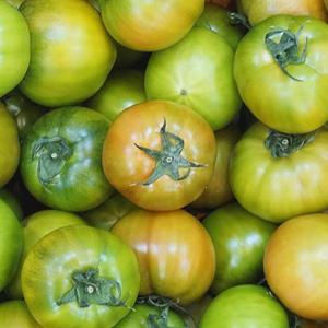 GAP 짭자이 대저토마토 짭짤이 토마토 2.5kg 로얄과 특품  /출고시작 햇 대저토마토