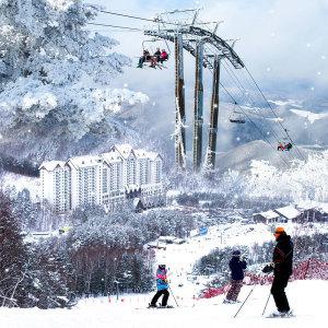 모나용평 25/26 리프트권 단품 리프트+장비렌탈 특가 (~스키장 폐장일까지)