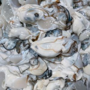 수협 통영 깐생굴 2kg 횟감용