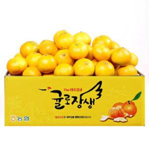 (신선집중) 감귤 귤로장생 고당도 감귤 4.5kg 로얄과(2SSM)