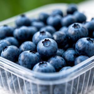항공직송 칠레산 생블루베리 생과 특대 사이즈 125g 1팩 16-20mm  1+1 행사 중 총 4팩