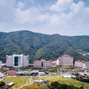 빡세일 | 비발디파크 얼리버드 스프링액티비티 3인패키지 / 소노펫 패키지