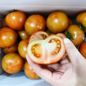 단단하고 맛있는 서동농장 완숙토마토  3kg(1-2번과/3-4번과) GAP인증농가 1013895