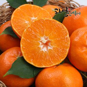 가정용 못난이 레드향 벌크 혼합과 4.5kg 혼합과