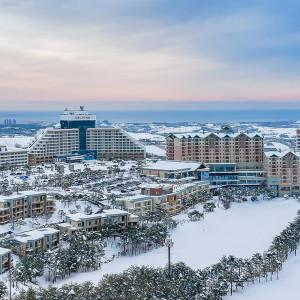 빡세일 | 소노 델피노 3인/4인 PKG | 객실+조식뷔페+오션플레이or키즈클럽