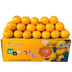 제주 고당도 프리미엄 노지 감귤 로얄/소과 랜덤 5kg