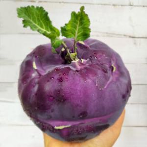 (신선집중) 교항농장 비타민 덩어리 콜라비 5kg 산지직송