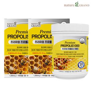 뉴질랜드 직수입 프리미엄 프로폴리스 2박스 12개월분 면역 항산화 환절기영양제 플라보노이드