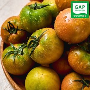 GAP인증 부산 대저 찰토마토/짭짤이 골라담기
