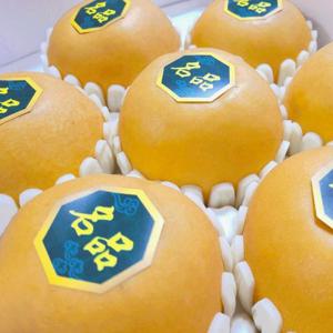 프리미엄 명품 나주배 제수용 선물용 가정용 특품5kg7.5kg 산지직송 /29일까지 특별할인 +무료배송