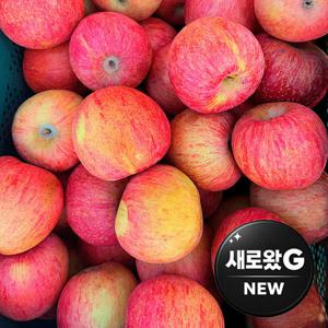 (한정수량특가) 사과 제철과일 실속형 흠집 부사사과 중대과 5kg 10-25과