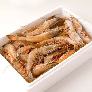 국내산 자연산대하 2kg 명절선물세트